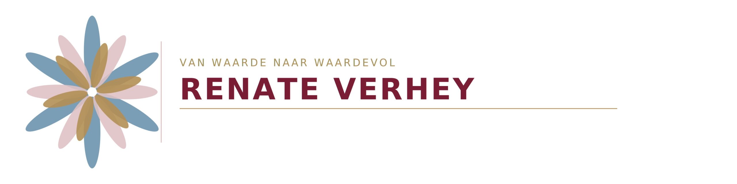 Professionele Coach Amersfoort | Van Waarde naar Waardevol Coaching